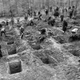 The massacre site near Suttrop soon after it was discovered by Allied forces in 1945. A U.S. soldier can be seen standing guard at far right.